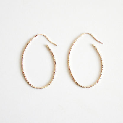 Sparkle Oval Hoop Earrings - Large