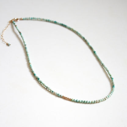 Turquoise Choker Necklace