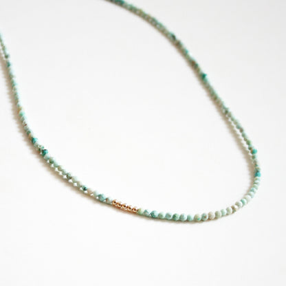 Turquoise Choker Necklace